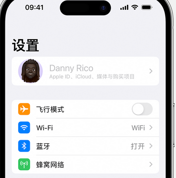 城阳appleID维修服务iPhone设置中Apple ID显示为灰色无法使用 