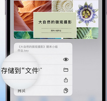 城阳apple维修中心分享iPhone文件应用中存储和找到下载文件