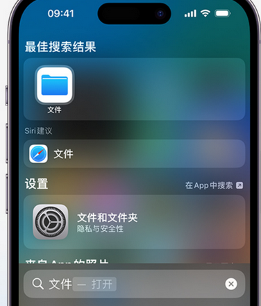 城阳apple维修中心分享iPhone文件应用中存储和找到下载文件 