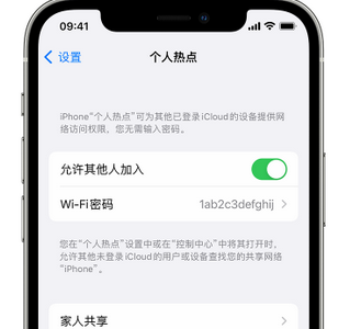 城阳apple服务站点分享iPhone上个人热点丢失了怎么办