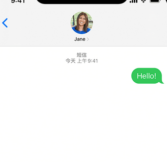 城阳apple维修iPhone上无法正常发送iMessage信息