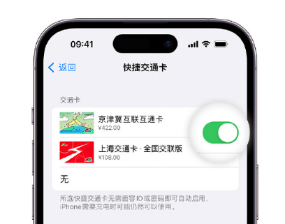 城阳apple维修点分享iPhone上更换Apple Pay快捷交通卡手绘卡面 