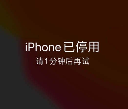 城阳苹果手机维修分享:iPhone 显示“不可用”或“已停用”怎么办？还能保留数据吗？ 