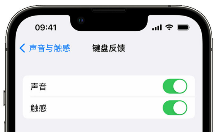 城阳苹果手机维修分享iPhone 14触感键盘使用方法 