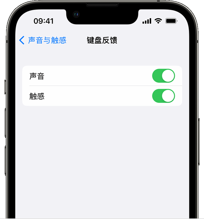 城阳苹果14维修店分享如何在 iPhone 14 机型中使用触感键盘 