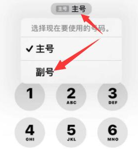 城阳苹果14维修店分享iPhone 14 Pro Max使用副卡打电话的方法 