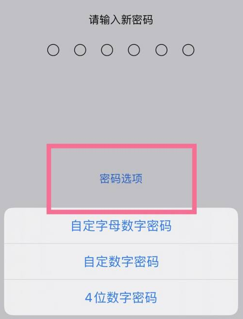 城阳苹果14维修分享iPhone 14plus设置密码的方法 