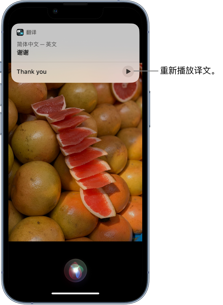 城阳苹果14维修分享 iPhone 14 机型中使用 Siri：了解 Siri 能帮你做什么 