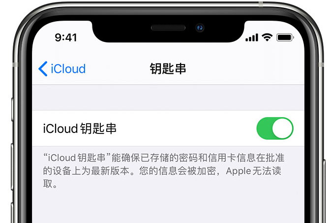 城阳苹果手机维修分享在 iPhone 上开启 iCloud 钥匙串之后会储存哪些信息 