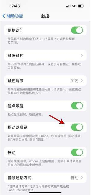 城阳苹果手机维修分享iPhone手机如何设置摇一摇删除文字 