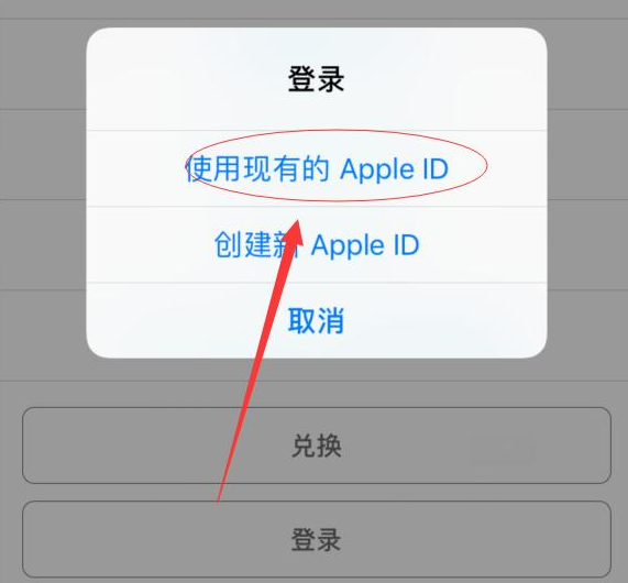 城阳苹果手机维修分享两台iPhone设备可以同时登录一个Apple ID吗 