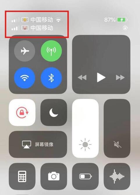 城阳苹果手机维修分享为 iPhone 12 双卡设置标签 